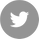 Twitter Social Icon